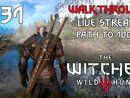 The Witcher 3: Wild Hunt прохождение игры - Часть 31: ПУТЬ ДО 100% [LIVE]