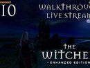 The Witcher прохождение игры - Часть 10 [LIVE]