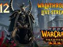 Warcraft III: Reforged прохождение игры - Часть 12 [The Frozen Throne | Ночные Эльфы | LIVE]