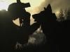 Марк Рубин: «Call of Duty: Ghosts не имеет никакого отношения к реальной армейской жизни»