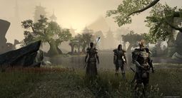 The Elder Scrolls Online | Скриншот № 1