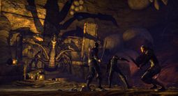 The Elder Scrolls Online | Скриншот № 12