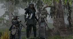 The Elder Scrolls Online | Скриншот № 25