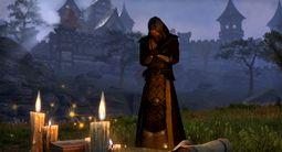 The Elder Scrolls Online | Скриншот № 27