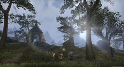 The Elder Scrolls Online | Скриншот № 5