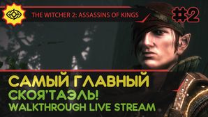 THE WITCHER 2: ASSASSINS OF KINGS прохождение игры - Часть 2: САМЫЙ ГЛАВНЫЙ СКОЯ’ТАЭЛЬ! [LIVE]