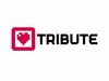 Tribute Games - новая студия, созданная бывшими сотрудниками Ubisoft и Eidos