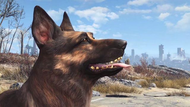 Пес-компаньон в Fallout 4 может собирать лут с врагов